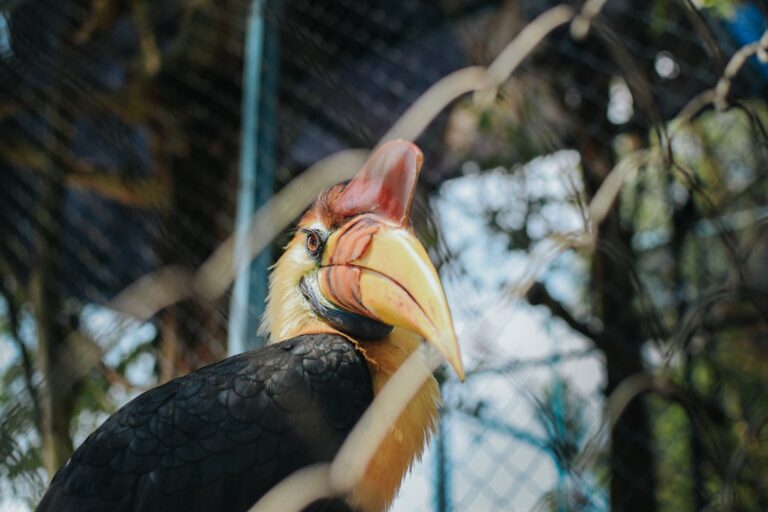 Wilhelma Stuttgart: dierentuin én botanische tuin