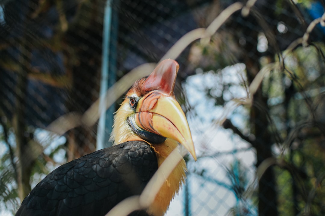 Wilhelma Stuttgart: dierentuin én botanische tuin